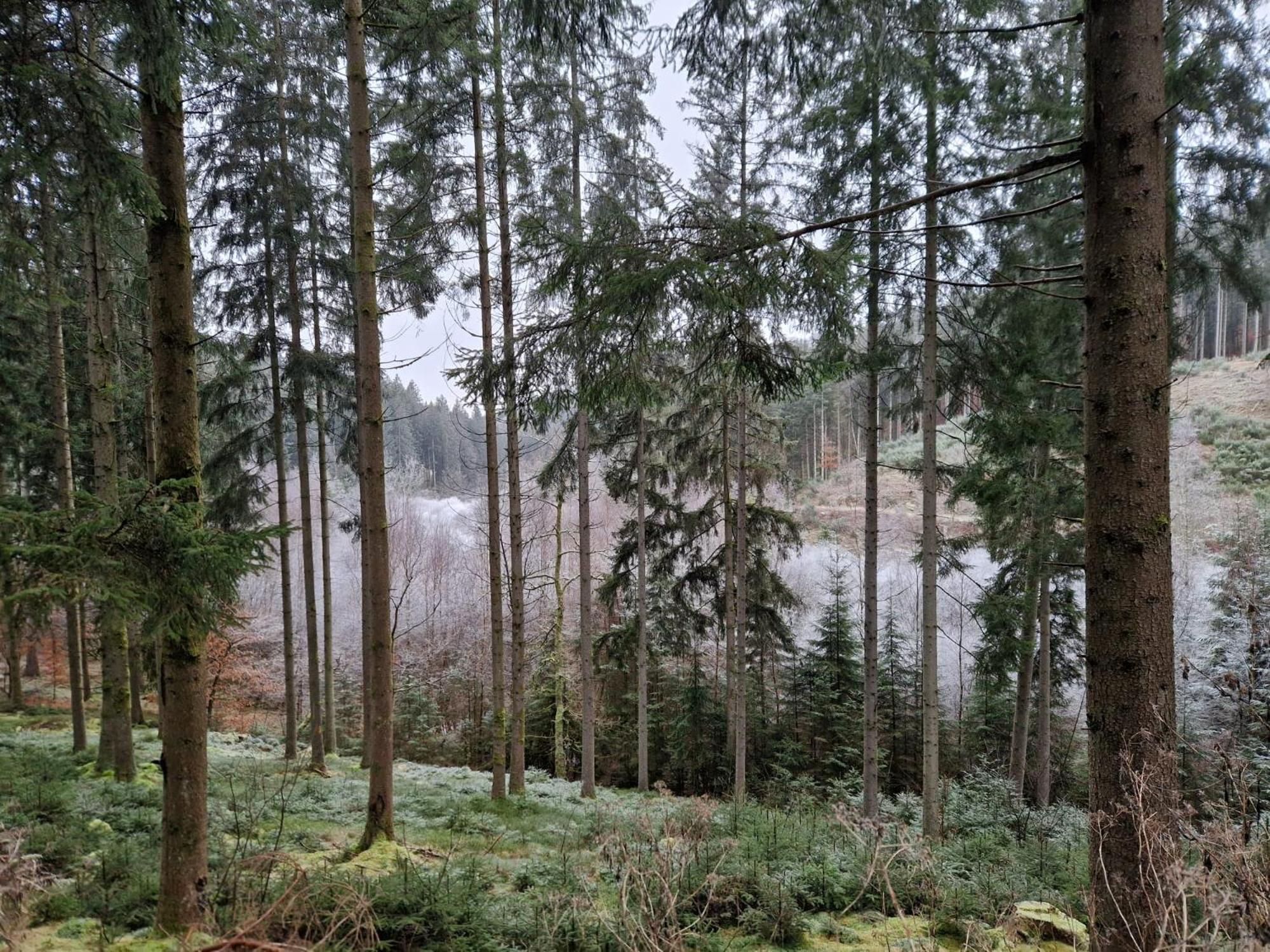Вилла Sur La Rive Vierre Suxy Экстерьер фото